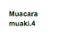 Muacara muaki.4