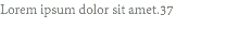 Lorem ipsum dolor sit amet.37
