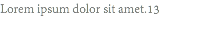 Lorem ipsum dolor sit amet.13