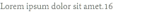 Lorem ipsum dolor sit amet.16