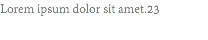 Lorem ipsum dolor sit amet.23