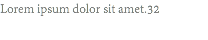 Lorem ipsum dolor sit amet.32