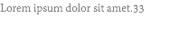 Lorem ipsum dolor sit amet.33